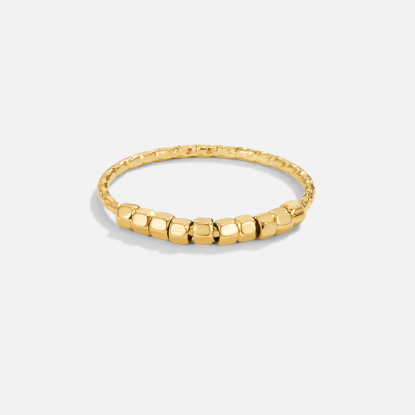 Alison Fidget Ring